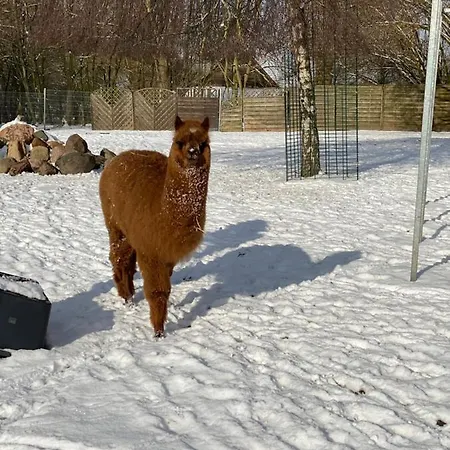 Im Park 1 Apartman Lenschow