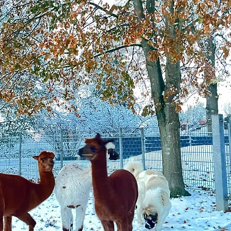Apartman Im Park 1 Lenschow