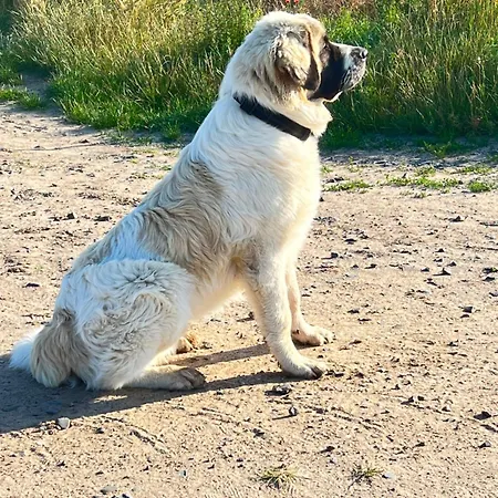 Apartman Im Park 1 Lenschow