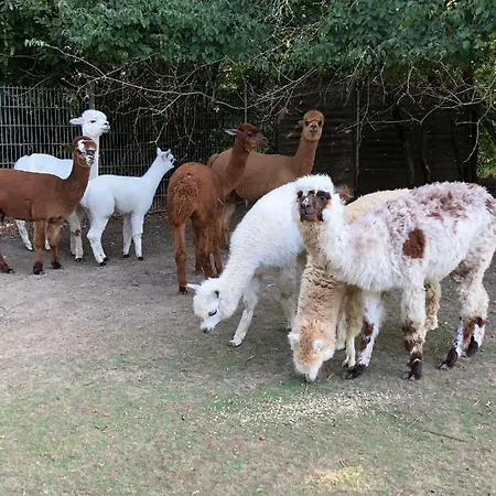 Im Park 1 * Lenschow