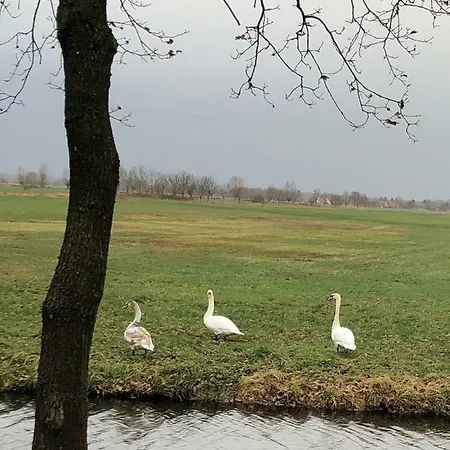 Im Park 1 Apartman Lenschow