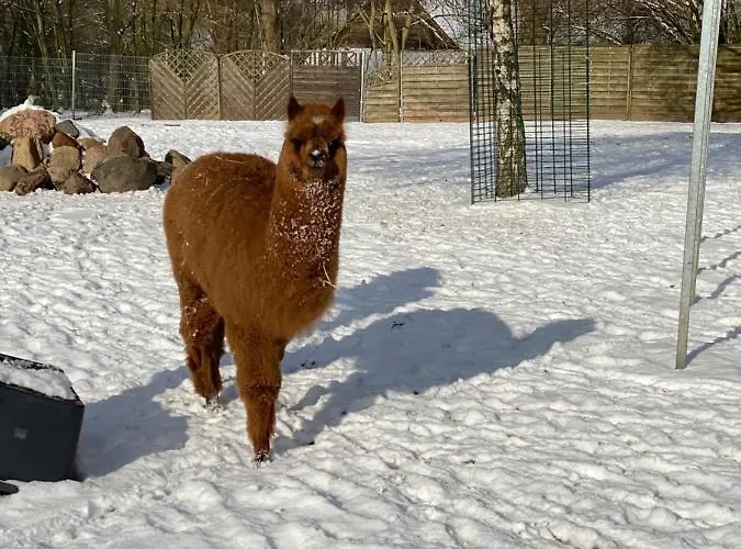 Im Park 1 Appartement Lenschow