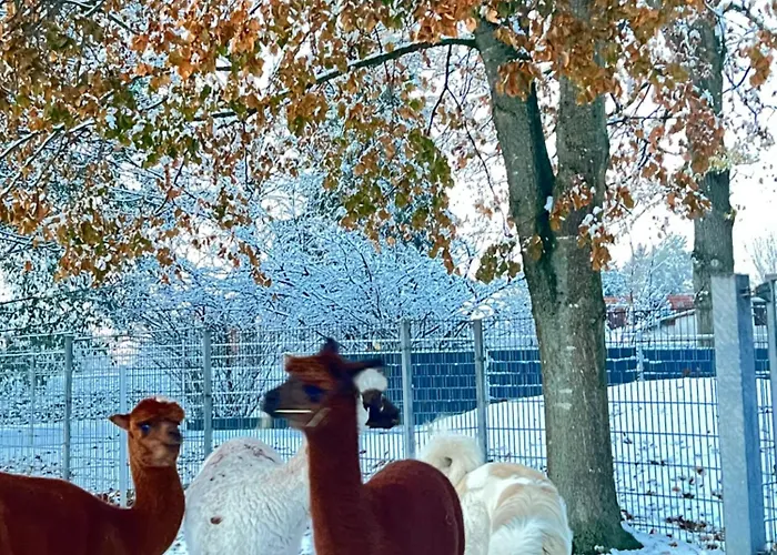 Appartement Im Park 1 Lenschow