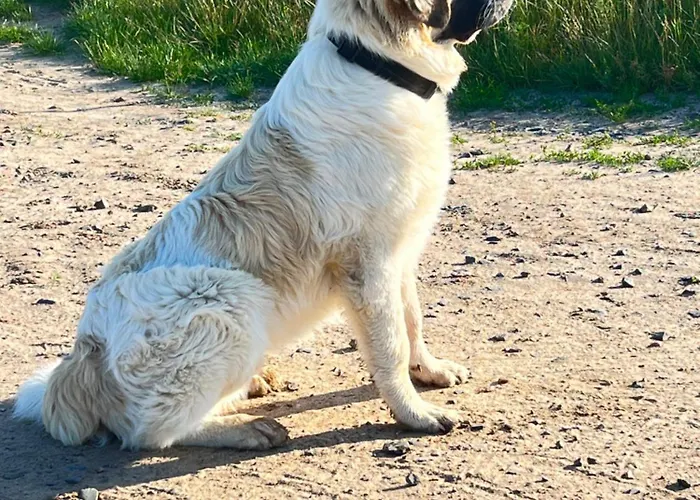 Appartement Im Park 1 Lenschow