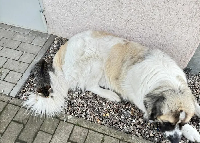 Im Park 1 Appartement *