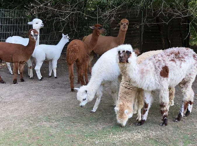 Im Park 1 * Lenschow