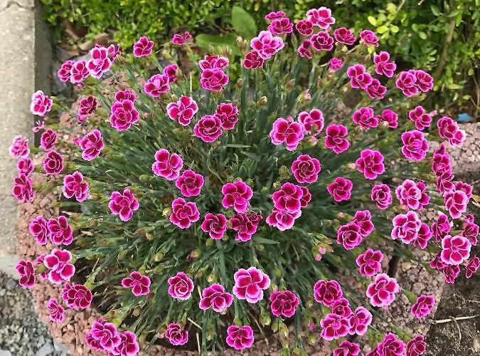 Im Park 1 Appartement *