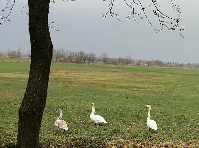 Im Park 1 Appartement Lenschow